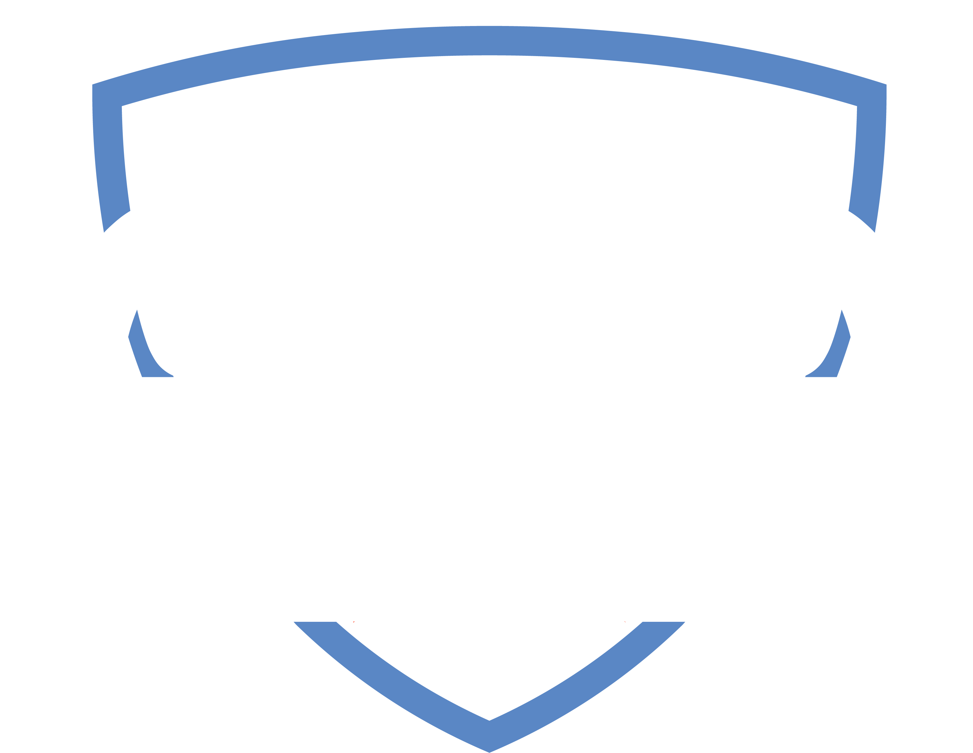 Svalinn's Detailing logo.